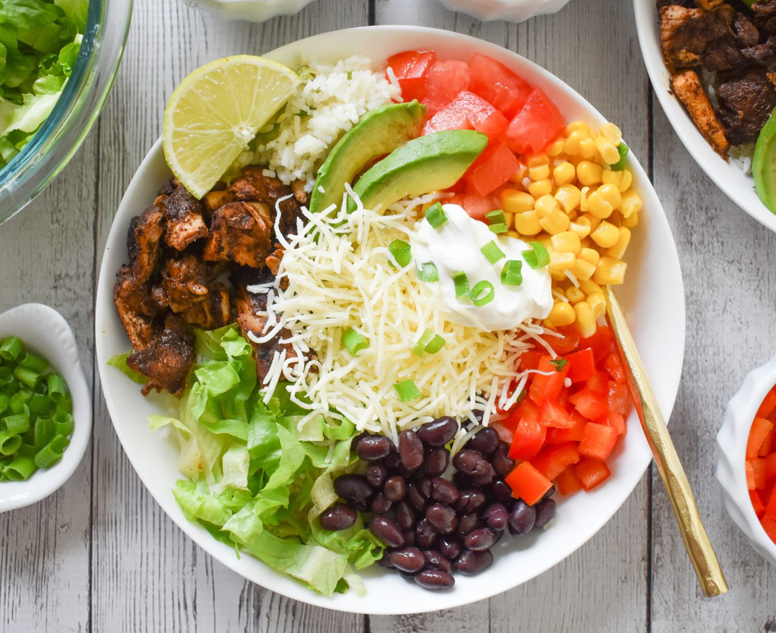 Low-FODMAP ‘Chipotle’ Chicken Burrito Bowl; Gluten-free | Dr. Rachel Pauls