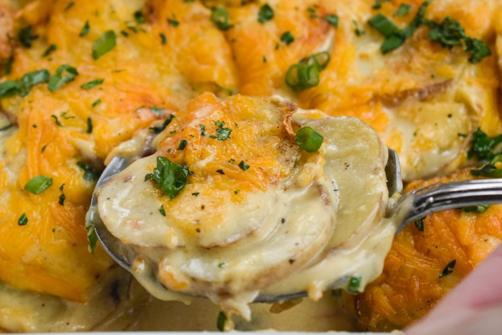 Easy LowFODMAP Cheesy Scalloped Potatoes; Glutenfree, Vegetarian Dr. Rachel Pauls