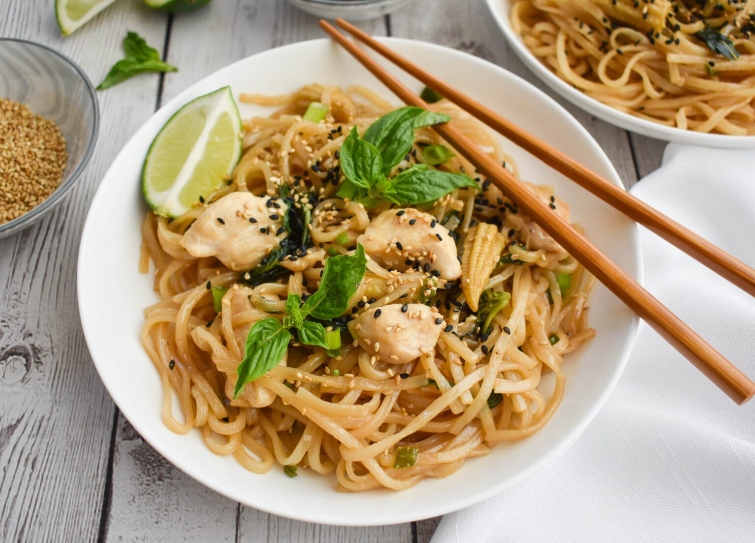 LowFODMAP & Glutenfree 'Drunken' Noodles with Chicken Dr. Rachel Pauls