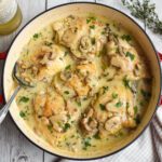 low fodmap braised chicken fricassee closer aerial