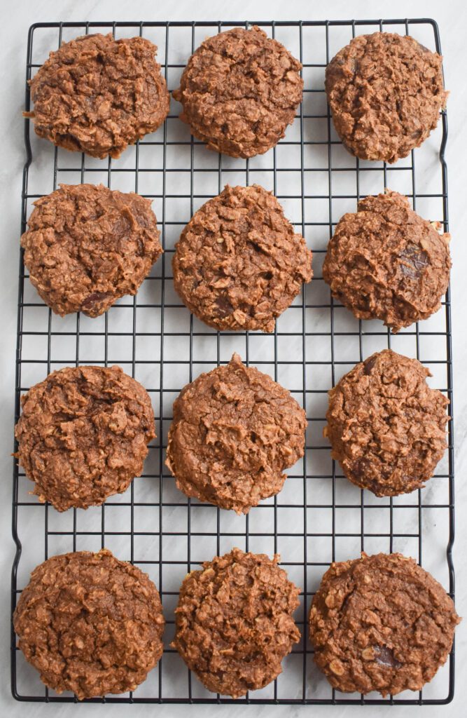 low fodmap pumpkin oat cookies aerial